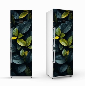 Наклейка на шпон холодильника 61х200