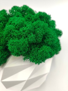 Вазон с мхом хроботек CHROBOTEK MOSS в белом горшке, 3D печать