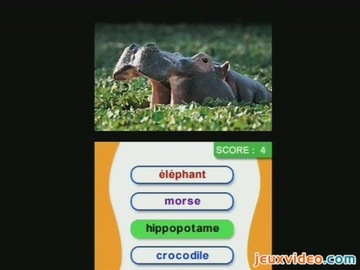 DS ANIMAL GENIUS Лодзь Рзговская 100/102