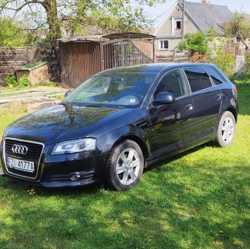 Audi A3 8P Hatchback 3d 2.0 TDI PD 140KM 2008 AUDI A3, zdjęcie 3