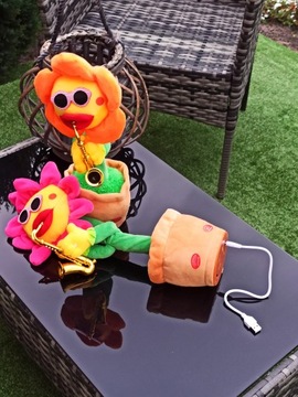 ПОЮ ТАНЦУЮ ЦВЕТОК ПОДСОЛНУХ КАК КАКТУС