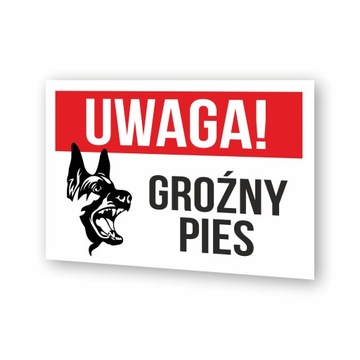 Tabliczka Uwaga Groźny Zły Pies | Druk UV | 30x20cm | PCV 1mm
