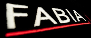 ДОПОЛНИТЕЛЬНЫЕ ВЕЛЮРОВЫЕ КОВРИКИ ДЛЯ SKODA FABIA I 1999-2008 гг. + ВЫШИВКА