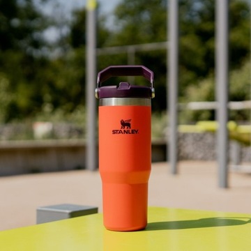 Кружка Stanley The Iceflow Flip Straw Tigerlily Plum, 0,89 л
