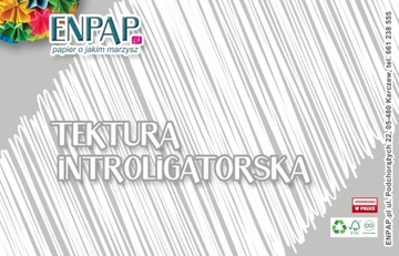 TEKTURA INTROLIGATORSKA SZARA 1MM A4 / OPAK.10 SZT