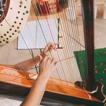 ИНСТРУМЕНТАЛЬНЫЕ АКСЕССУАРЫ НАБОРЫ ДЛЯ ГИТАРЫ ЗАПЧАСТИ HARPY