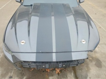 Ford Mustang VI Fastback Facelifting 5.0 Ti-VCT 450KM 2020 Ford Mustang Gt 2020 5.0 Benzyna 450KM, zdjęcie 6