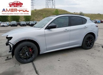 Alfa Romeo Stelvio SUV Facelifting 2.0 Turbo 280KM 2021 Alfa Romeo Stelvio Ti 2021 2.0l 2.0 Benzyna 280KM