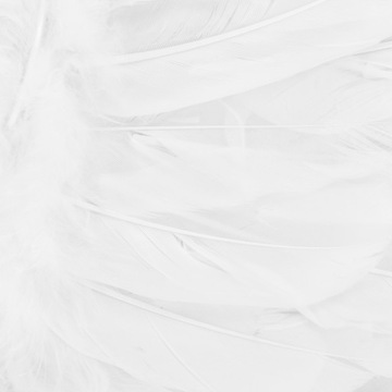 Набор крыльев ангела 45 х 35 см + нимб 1 шт.