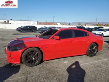 Dodge Charger VII 2019 Dodge Charger DODGE CHARGER SCAT PACK, 2019r., 6.4L 6.4 Benzyna 485KM