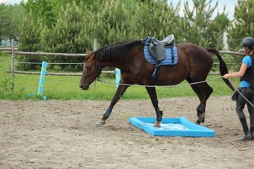 Лошадь с препятствиями HorseMania + 3 шеста, выдвижная 2 в 1 ПЕРСОНАЛИЗАЦИЯ