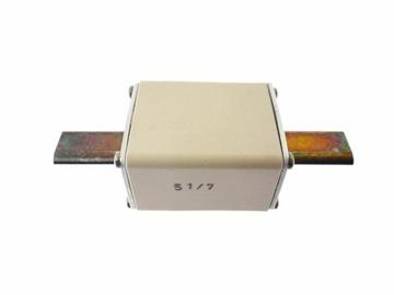 ПРЕДОХРАНИТЕЛЬ FERRAZ NH1AM50V100 100А 500В! НОВЫЙ!