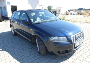 Audi A3 8P Hatchback 3d 1.9 TDI 105KM 2006 Audi A3 Sportback Audi A3 II (8P) sportbag 1.9 Diesel 105KM, zdjęcie 2