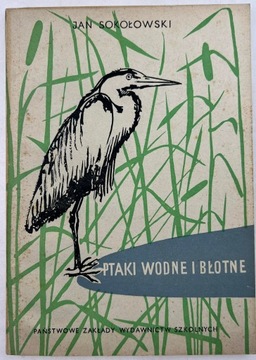 Ptaki wodne i błotne - Jan Sokołowski