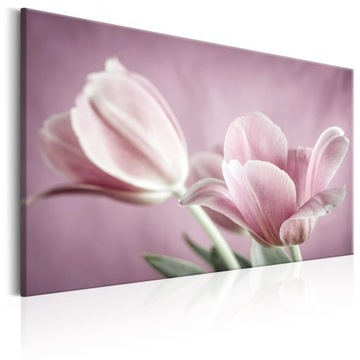 Obraz - Romantyczne tulipany - 90X60