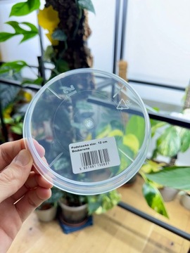 Podstawka pod doniczkę |12 cm |Bezbarwna