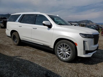 Cadillac Escalade III 2023 Cadillac Escalade Premium Luxury, 2023r., 4x4, 6.2L 6.2 Benzyna 420KM, zdjęcie 1