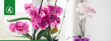 Распылитель Marolex Mini 500 мл