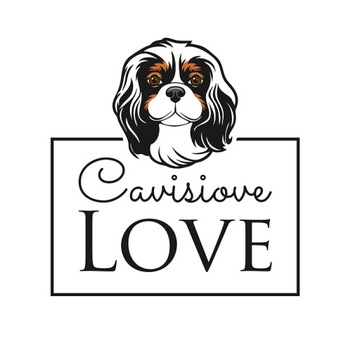 TORBA CAVALIER LOVE FOREVER PIES PIESEK TORBA