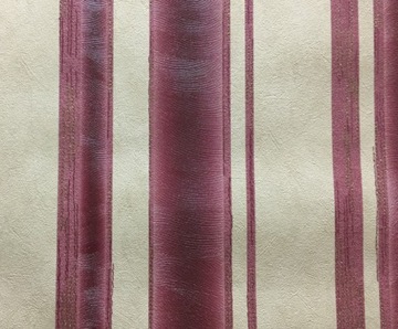 Tapeta ścienna pasy 2486-60