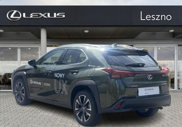 Lexus UX 2024 Lexus UX 300h Business Edition Tech VAT 23 Salon PL ASO Lexus Leszno, zdjęcie 10