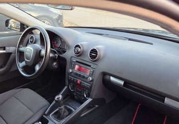 Audi A3 8P Hatchback 3d 1.6 102KM 2008 Audi a3 1,6 MPI 102 km 1.6 Benzyna 102KM, zdjęcie 7