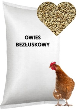 Owies bezłuskowy (owsik spożywczy) ziarno 25kg Karma dla Kur Gołębi Gryzoni