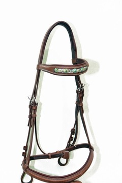 Профилированная анатомическая команда полна