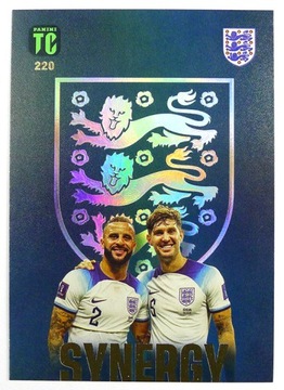 karty TOP CLASS 2023 SYNERGY SYN Walker Stones 220