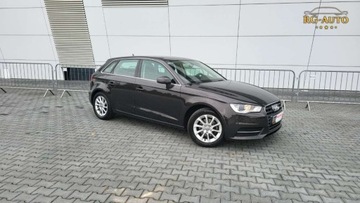 Audi A3 8P Cabriolet 1.6 TDI 105KM 2013 Audi A3 1.6TDI Serwis Oryginal 190Tkm Super st..., zdjęcie 3