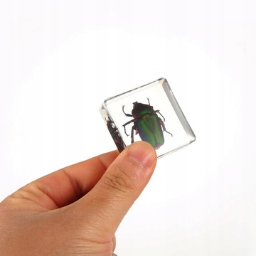 Смоляное украшение в виде насекомых, 6 шт.