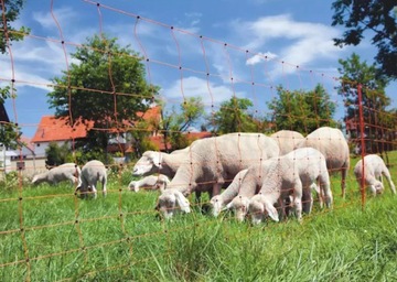 Siatka elektryczna dla owiec 50m 90cm poj. szpic (drobiu,krów ,zwierzyny )