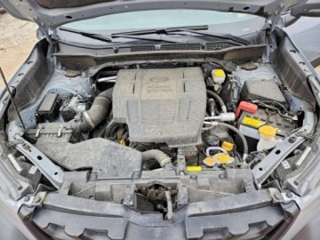 Subaru 2024 Subaru Forester 2024r., Wilderness, 2.5L, od ubezpieczalni 2.5 Benzyna, zdjęcie 11