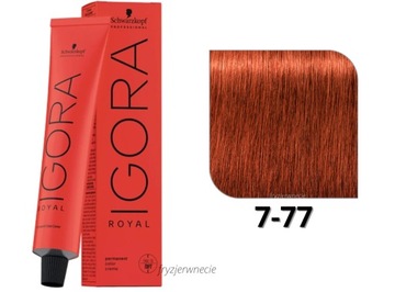 Schwarzkopf Igora Royal Farba do włosów 7-77