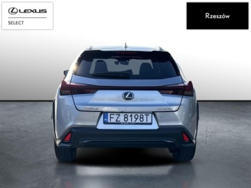 Lexus UX Crossover Facelifting 2.0 250h 184KM 2023 Lexus UX 250h GPF F Sport Design 2WD UX250h F-spor, zdjęcie 3