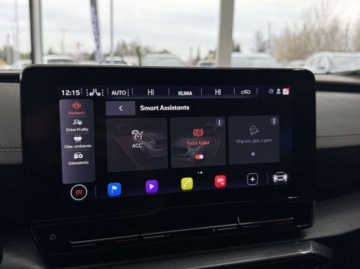 Cupra Formentor Crossover 2.0 TSI 190KM 2024 Cupra Formentor 4Drive DSG ACC Pakiet Comfort Ambiente Kamera LED, zdjęcie 30