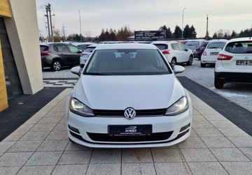 Volkswagen Golf VII Variant 1.2 TSI BlueMotion Technology 110KM 2017 Volkswagen Golf 1.2 Tsi Allstar 2xPDC Navi Kam..., zdjęcie 2