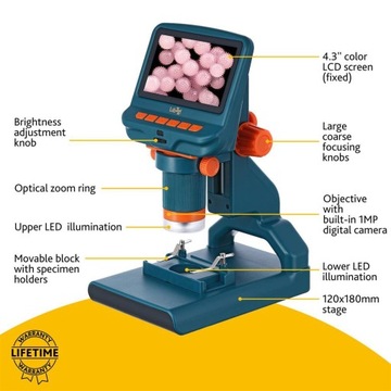 Mikroskop cyfrowy, szkolny Levenhuk LabZZ DM200, kolorowy LCD 4.3
