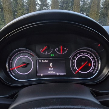 Opel Insignia I Country Tourer 2.0 CDTI Ecotec 163KM 2015 Opel Insignia A 2.0 163KM CDTI Automatik Edition, zdjęcie 31