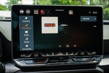 Cupra Formentor Crossover Facelifting 2.0 TSI 204KM 2026 Cupra Formentor Tribe Edition Black 2.0 TSI 204 KM, zdjęcie 26
