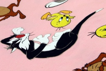 Looney Tunes Zwariowane Melodie Sukienka Tunika 1X