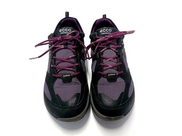 ECCO BIOM GORE-TEX TERRAIN Buty __Wk. 25cm r. 38