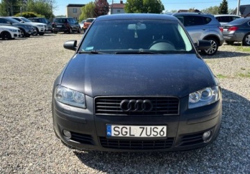 Audi A3 8P Hatchback 3d 2.0 FSI 150KM 2003 Audi A3 3-drzwiowe 2003 r. 2.0 Benzyna 150KM, zdjęcie 8