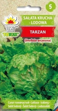 Sałata krucha - lodowa Tarzan nasiona 1 g Toraf