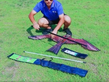 Воздушный змей отпугиватель птиц Скворцы, прочная мачта, 7 м, поворотный