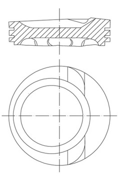 MAHLE 030 68 02 PÍST