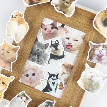 100 шт., забавные милые животные, кошка, собака, Mem