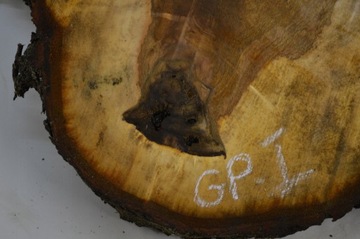 Срез каштана 58х49см Толщина: 7 см для смол