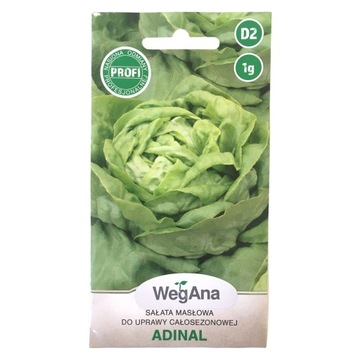 Sałata masłowa Adinal WegAna 1g ODMIANA PROFI