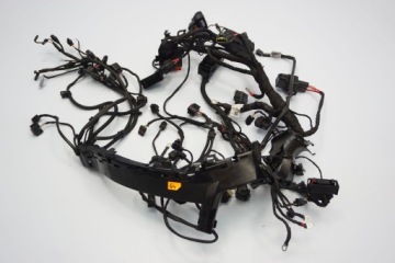 BMW F 850 GS 18- INSTALACJA WIĄZKA GŁÓWNA